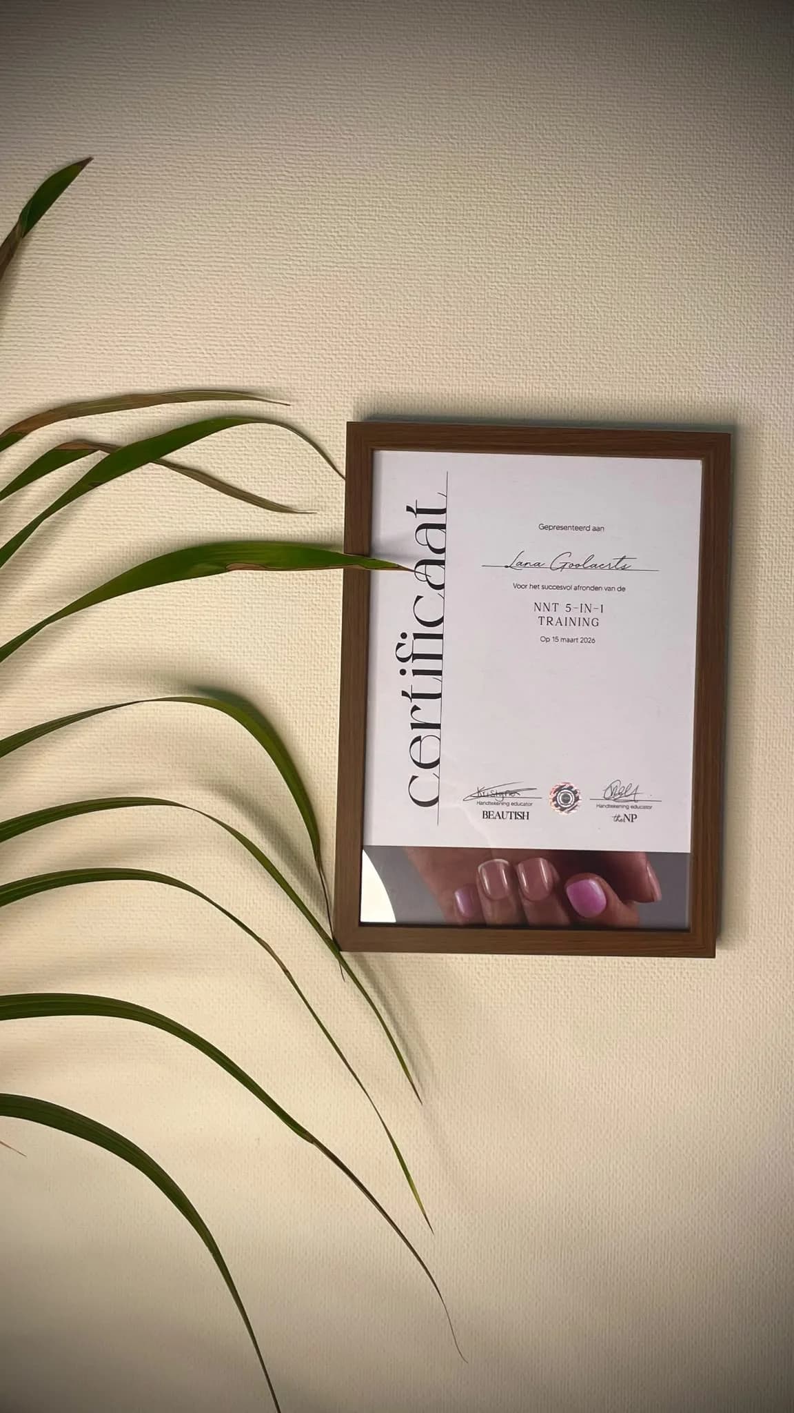 Certificaat NNT 5-in-1 Training